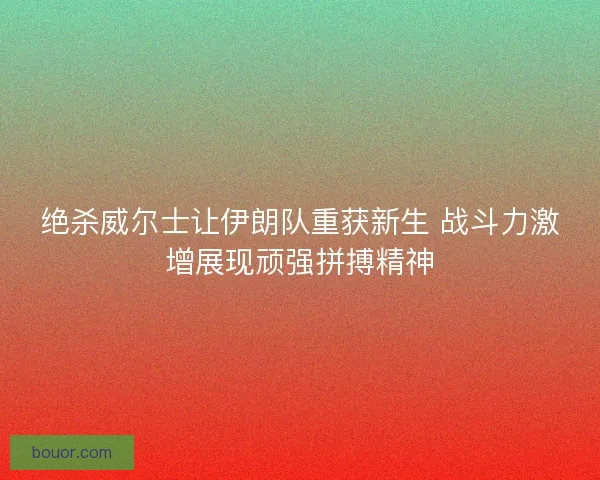 绝杀威尔士让伊朗队重获新生 战斗力激增展现顽强拼搏精神